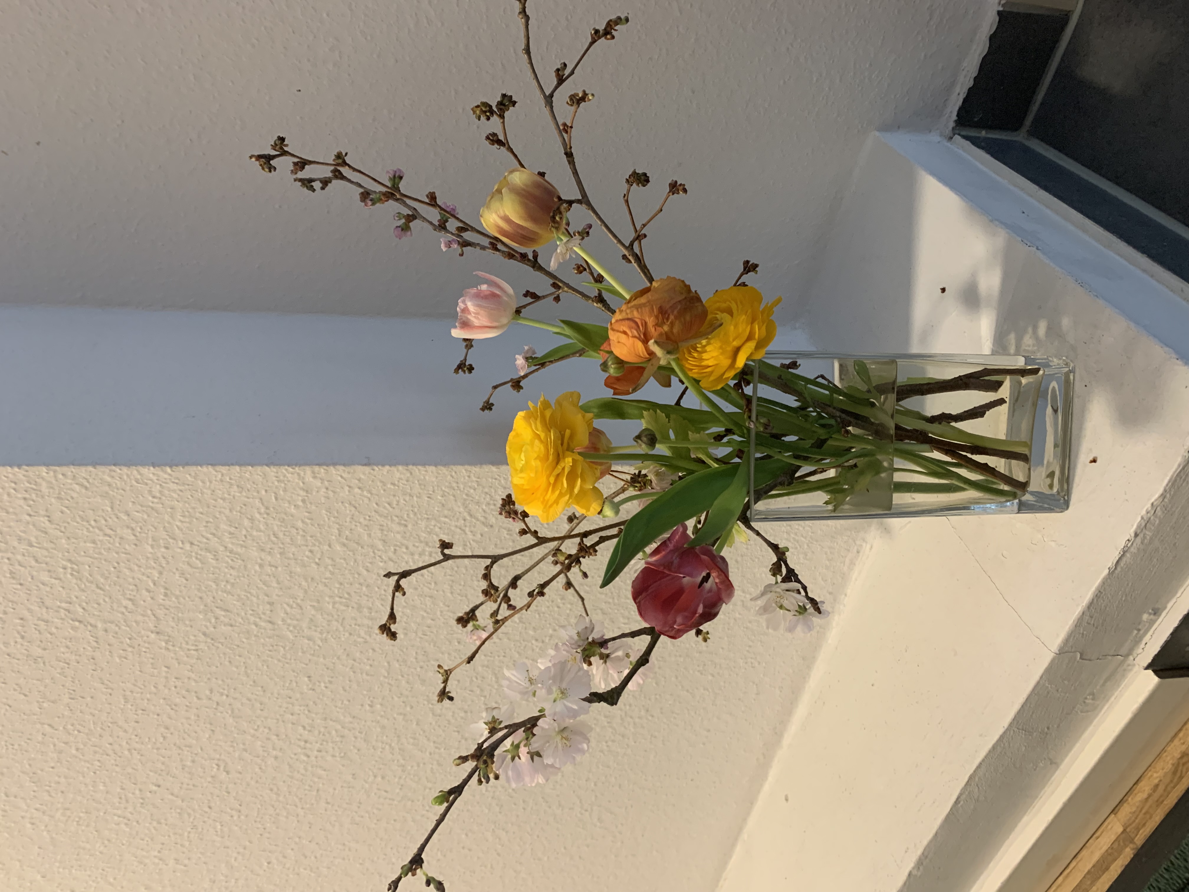 Vorschau Bild 4