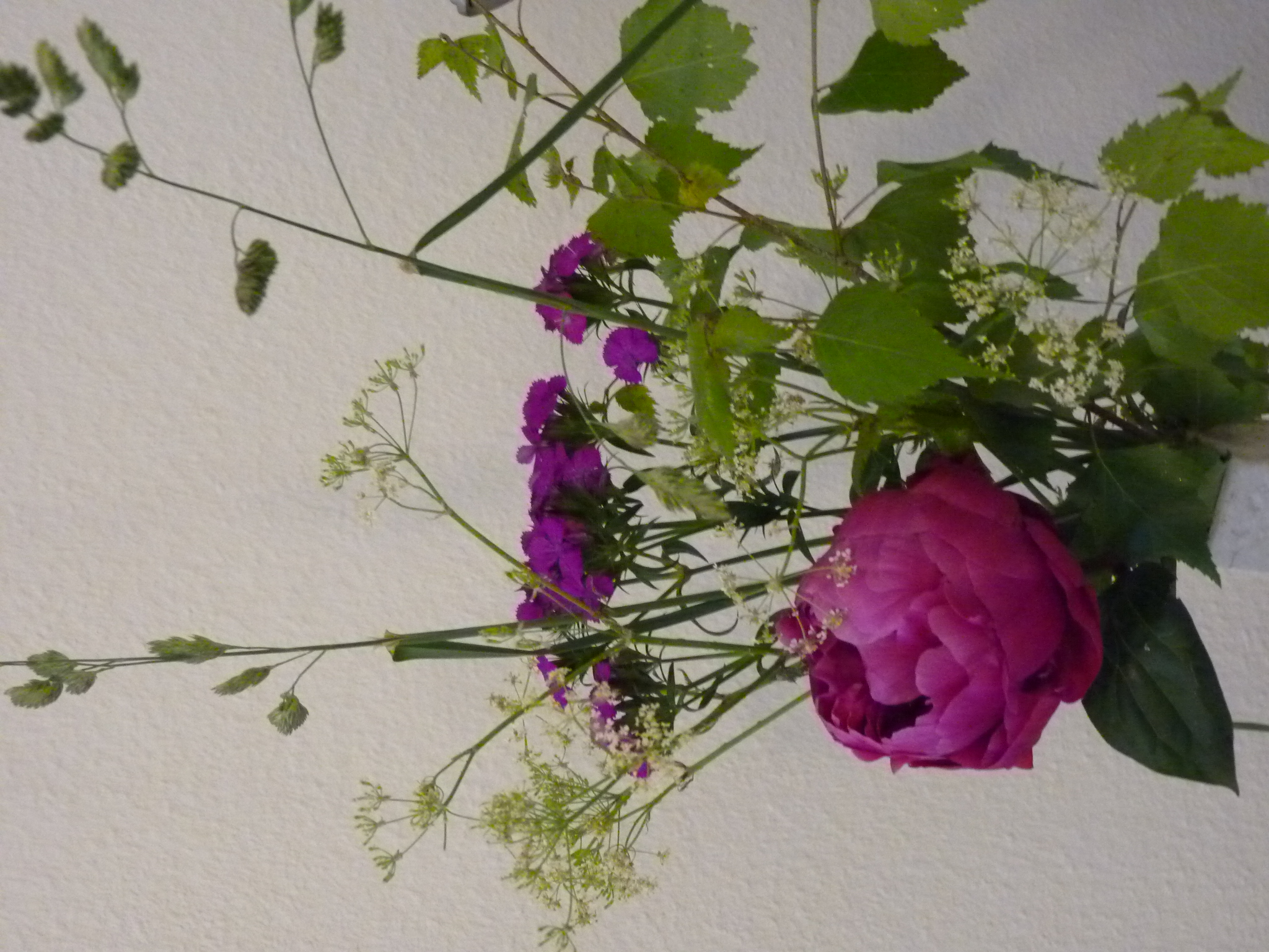 Vorschau Bild 10